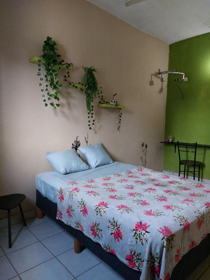 Cho Ku Rei Hostal ซานโฮเซ เดล กาโบ ภายนอก รูปภาพ