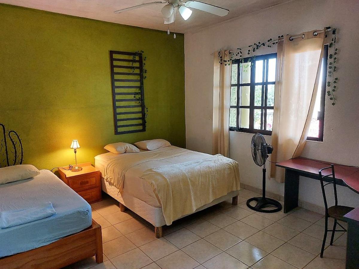Cho Ku Rei Hostal ซานโฮเซ เดล กาโบ ภายนอก รูปภาพ